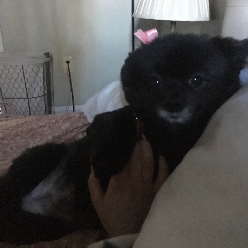 Meet your Posher, Mya
